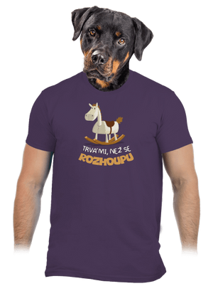 Než se rozhoupu pánské tričko Urban Purple