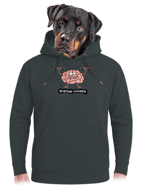 unisex mikina premium