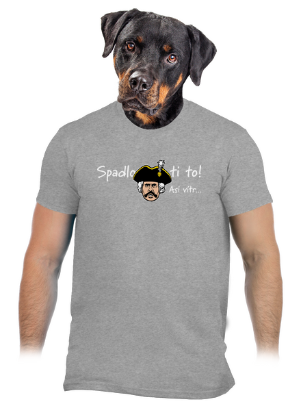 Spadlo ti to pánské tričko Sport Grey