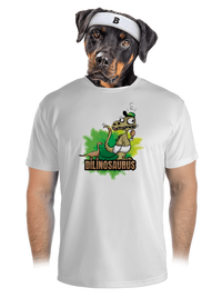 pánské sportovní tričko