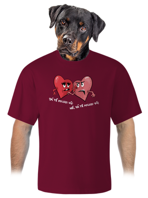 Srdíčka unisex tričko oversized Garnet