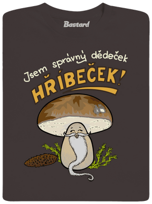 Babka a hříbeček pánské dlouhý rukáv Bear Brown