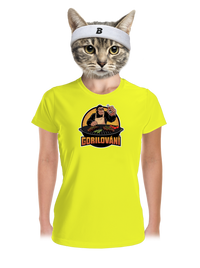 dámské sportovní tričko