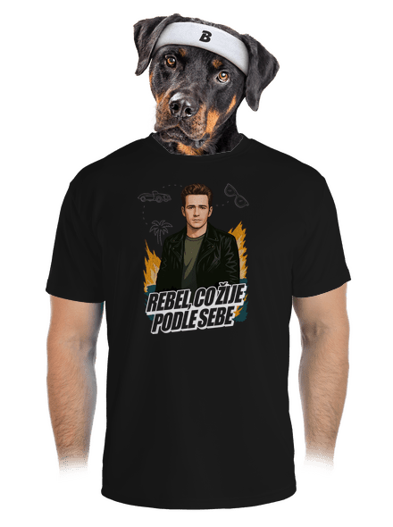 B19: Dylan z Beverly Hills pánské sportovní tričko Black