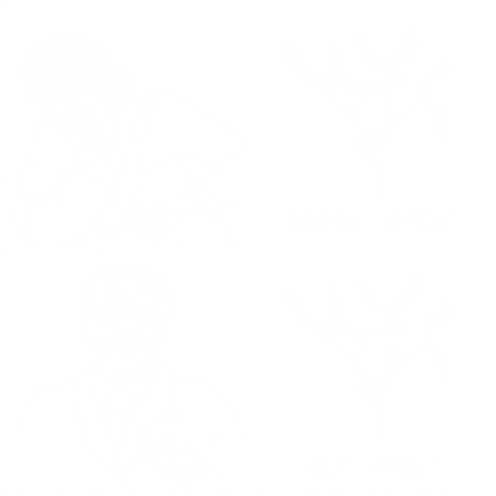 Cimrman: Copak jmelí