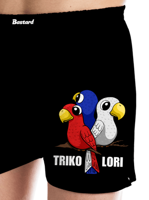 Trikolori pánské trenky Black