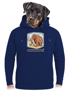 unisex mikina premium