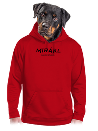pánská mikina klokanka