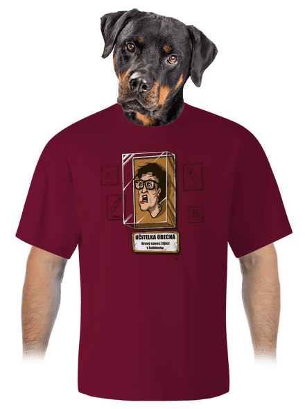 Učitelka obecná unisex tričko oversized Garnet
