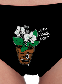 dámské kalhotky