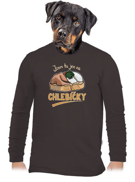 Na chlebíčky pánské dlouhý rukáv Bear Brown