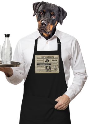 Věštecké listy zástěra Black