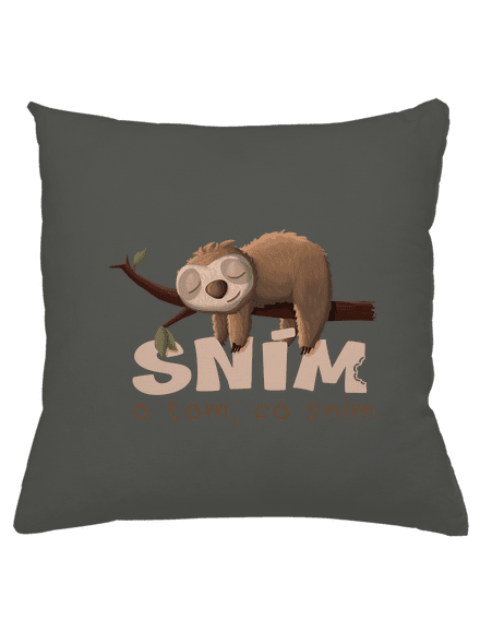 Sním o tom, co sním polštář Gray Pol