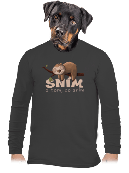Sním o tom, co sním pánské dlouhý rukáv Dark Grey