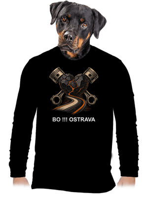 pánské dlouhý rukáv