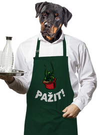 zástěra