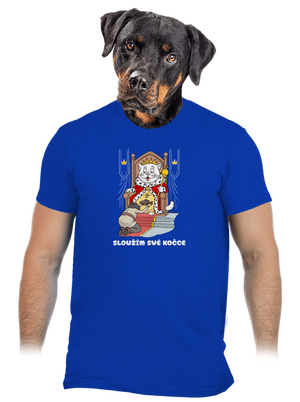pánské tričko