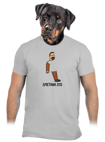 Smetana 31 % pánské tričko Pacific Grey