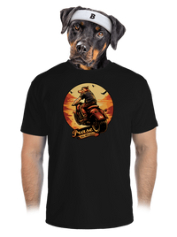 pánské sportovní tričko