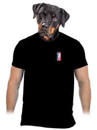 pánské tričko