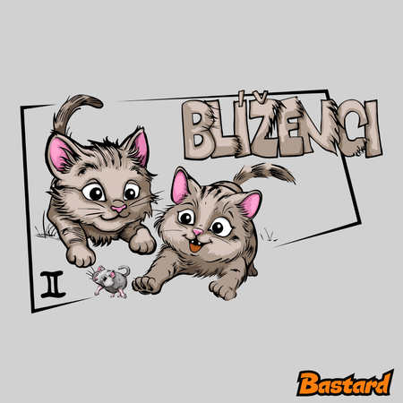Kočičí horoskop: Blíženci