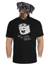 pánské sportovní tričko