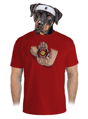 pánské sportovní tričko