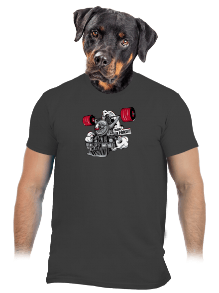 Lokomotiva pánské tričko Dark Grey