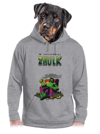 pánská mikina klokanka