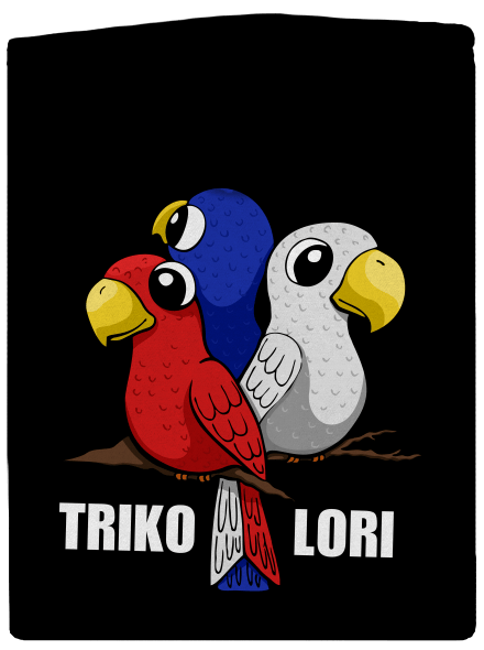 Trikolori dámská mikina na zip Black