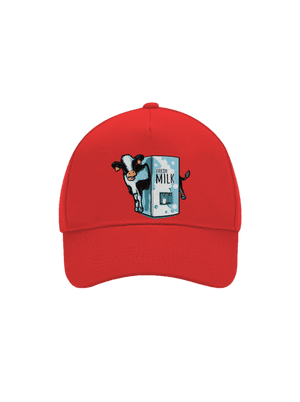 kšiltovka baseballka