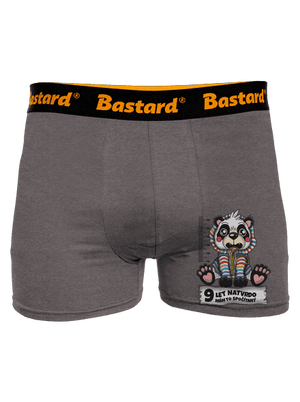 Školní docházka boxerky Gray Melange