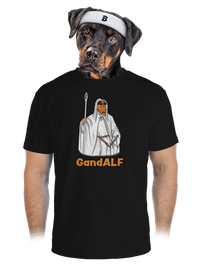 pánské sportovní tričko