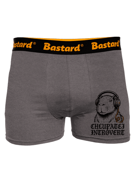 Chlupatej introvert boxerky Gray Melange