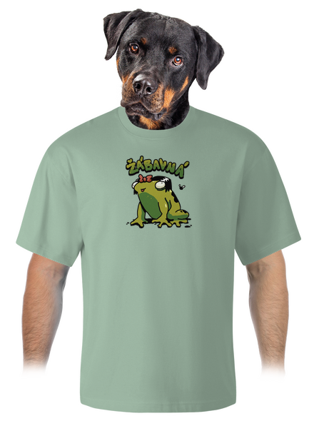 Žábavní unisex tričko oversized Sage