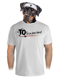 pánské sportovní tričko