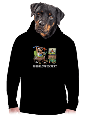 Fotbalový expert pánská mikina klokanka Black
