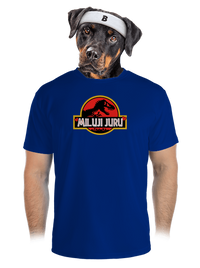 pánské sportovní tričko