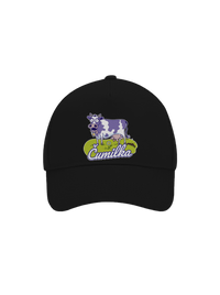 kšiltovka baseballka
