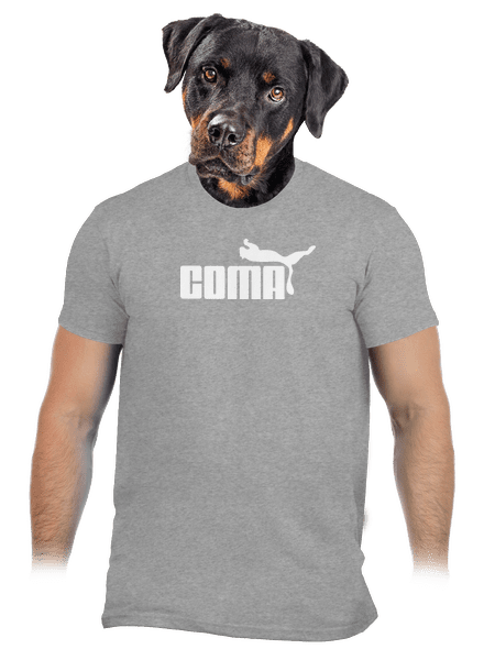 Coma pánské tričko Sport Grey