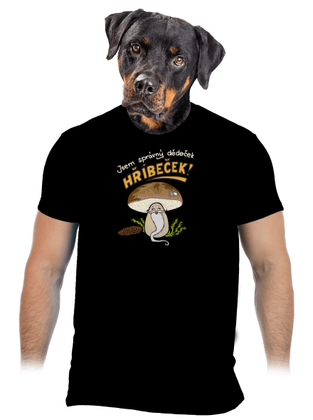 Babka a hříbeček pánské tričko Black