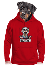 pánská mikina klokanka