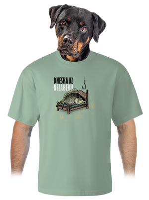 Dneska už nezaberu unisex tričko oversized Sage