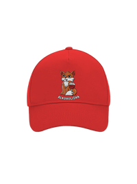 kšiltovka baseballka