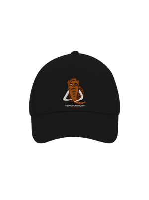 kšiltovka baseballka