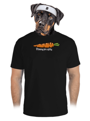 pánské sportovní tričko