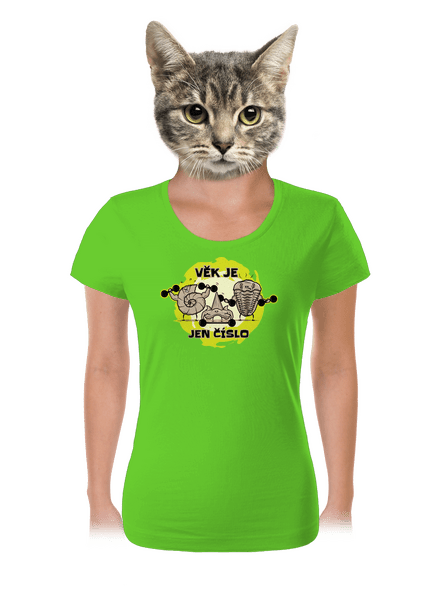 Věk je jen číslo dámské tričko Apple Green