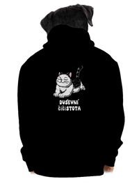pánská mikina na zip