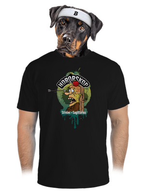 pánské sportovní tričko