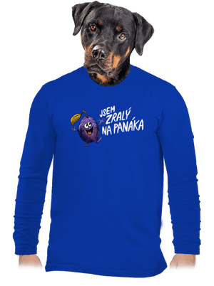 pánské dlouhý rukáv